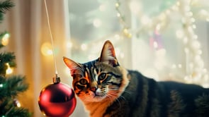 This AI-generated image shows a playful cat batting at Christmas ornaments, adding to the festive atmosphere with its antics.