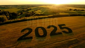 "An open field with ""2025"" clearly marked from above, highlighting the natural beauty of the New Year."