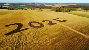 "Aerial view of ""2025"" written in bright yellow in a vast cereal field, blending nature with the New Year spirit."