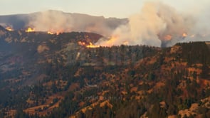 Aerial view of a forest fire spreading across a mountain, highlighting the destruction of natural habitats and the devastation caused by wildfires.