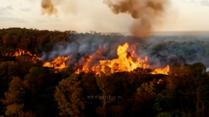 Aerial view of a forest fire raging through trees, destruction spreading rapidly, showing the extent of the wildfire and its environmental consequences.