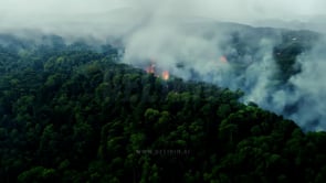 Aerial view of a forest on fire, destruction spreading quickly, illustrating the devastating impact of wildfires on forests, wildlife, and ecosystems.