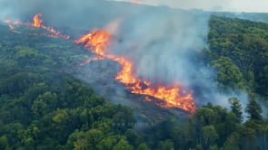 Aerial view of a forest fire devastating the natural land, showing the widespread damage caused by wildfires to forests, wildlife, and ecosystems.