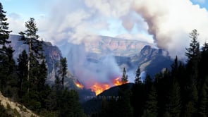 Aerial view of Yosemite National Park on fire, destruction spreading quickly, illustrating the urgent threat of wildfires to natural parks and wildlife.