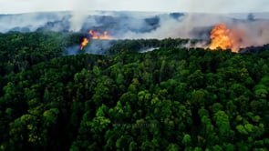 Fire in a forest, aerial view, depicting the scale and destruction of wildfires as they burn through vast forested areas, threatening wildlife and ecosystems.