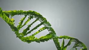 A visual representation of DNA in motion, with green leaves representing organic life and health, set against a subtle grey background for a modern touch.